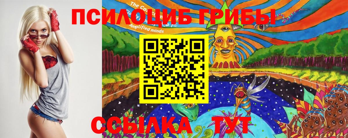 Галлюциногенные грибы Psilocybe Глазов