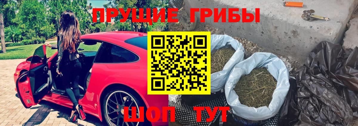 Глазов  Галлюциногенные грибы Cubensis  Вход с VPN  Галлюциногенные грибы MAGIC MUSHROOMS 